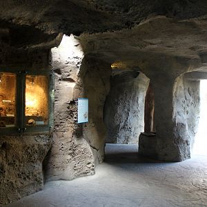 Zoo am Meer - Underwater viewing cave