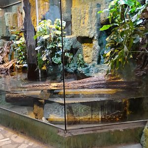 Varzea container after minor repairs