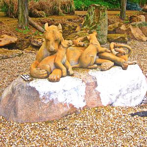 May 2013 - Africa - New African Lion Statue