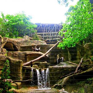 May 2013 - Eagle Eyrie - Stellar's Sea Eagle Exhibit Above Viewing