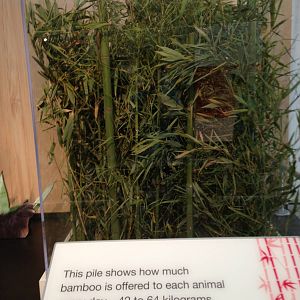 Panda Interpretive Centre