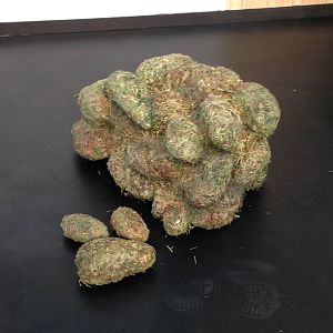 Panda Interpretive Centre