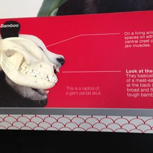 Panda Interpretive Centre