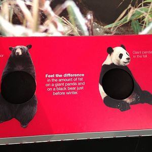 Panda Interpretive Centre
