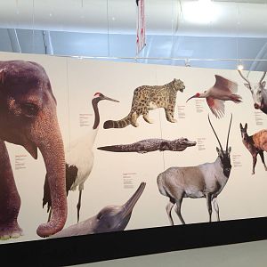 Panda Interpretive Centre