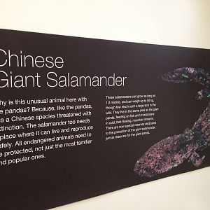 Panda Interpretive Centre