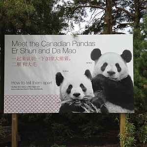 Panda Signage