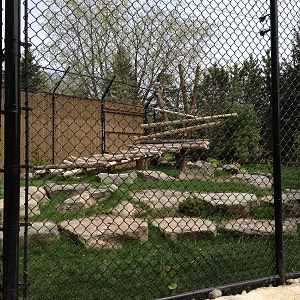 Second Panda Exhibit