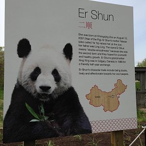 Panda Signage