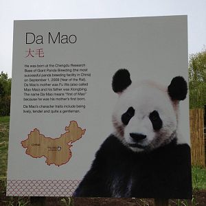 Panda Signage