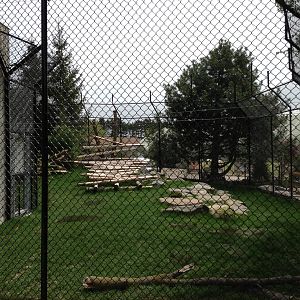 Second Panda Exhibit