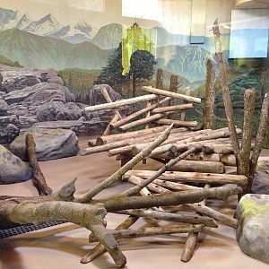 Smaller Indoor Panda Exhibit