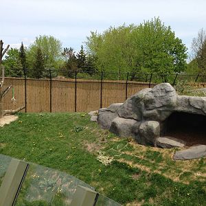 Main Panda Exhibit