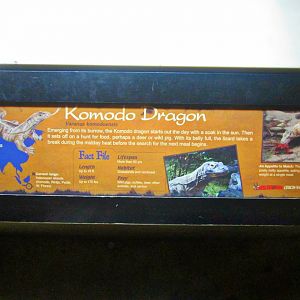 May 2013 - Dragons! - Komodo Dragon Sign
