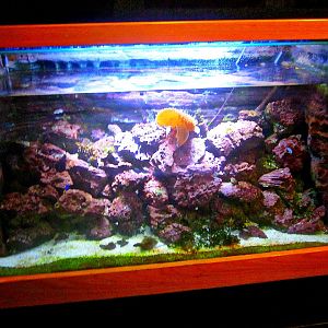 May 2013 - Manatee Springs - Florida Biodiversity Exhibit