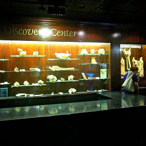 May 2013 - Manatee Springs - Discovery Center