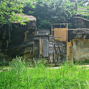 May 2013 - Rhino Reserve - Black Rhinoceros Crate Training