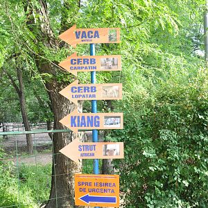 Directions in the zoo