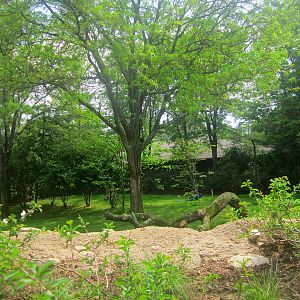 May 2013 - Africa - Future Cheetah Exhibit
