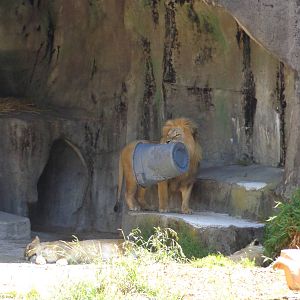 Jahari Takes Out the Trash