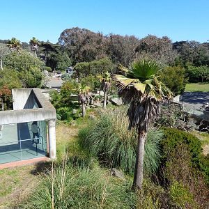 Pattas Monkey Exhibit