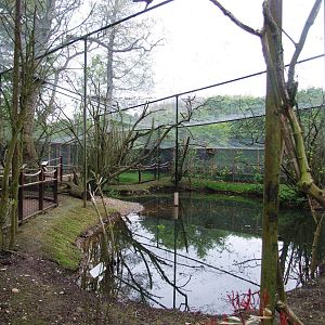 Walk-through Aviary at Tropical Birdland, 18/05/13