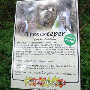 Woodland Walk Signage at Tropical Birdland, 18/05/13