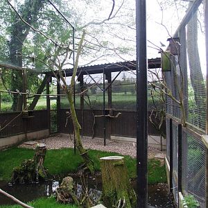 Walk-in Aviary at Tropical Birdland, 18/05/13