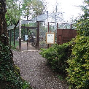 Walk-through Aviary at Tropical Birdland, 18/05/13