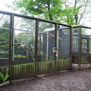 Macaw Aviaries at Tropical Birdland, 18/05/13