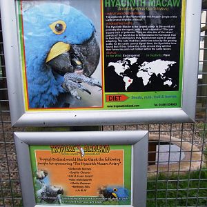 Signage Example at Tropical Birdland, 18/05/13