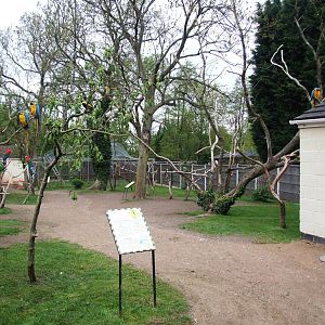 Parrot Garden at Tropical Birdland, 18/05/13