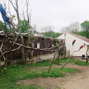 Parrot Garden at Tropical Birdland, 18/05/13