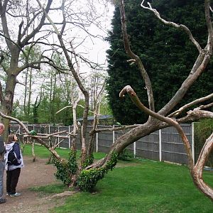 Parrot Garden at Tropical Birdland, 18/05/13