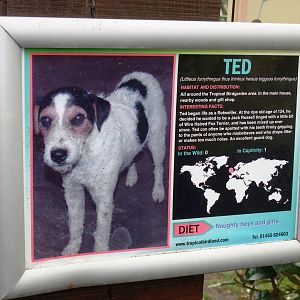 Signage Example at Tropical Birdland, 18/05/13