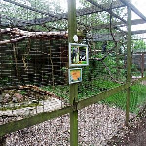Hornbill Aviary at Tropical Birdland, 18/05/13