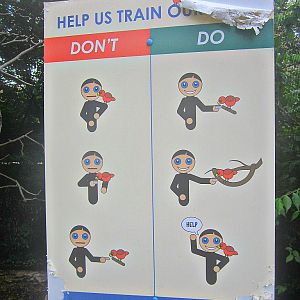 May 2013 - Lorikeet Landing - Do's and Don'ts of Feeding