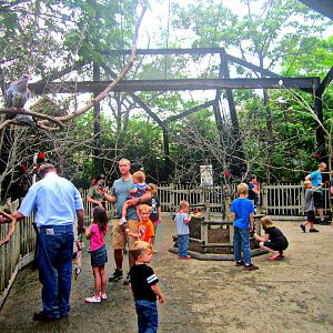 May 2013 - Lorikeet Landing