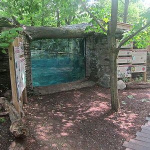 May 2013 - Wolf Woods - North American River Otter Underwater Viewing