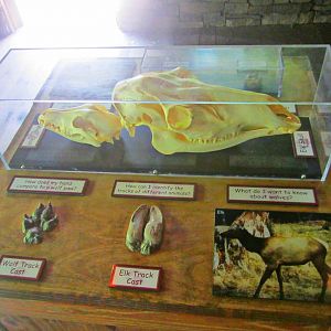 May 2013 - Wolf Woods - Wolf to Elk Analysis