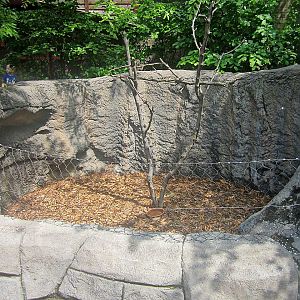 May 2013 - Childrens Zoo - Southern Three-banded Armadillo Exhibit