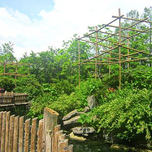 May 2013 - Gibbon Islands