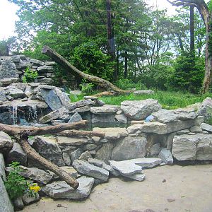 May 2013 - Cat Canyon - Cougar Exhibit
