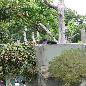 Ya Kwanza on the roof!