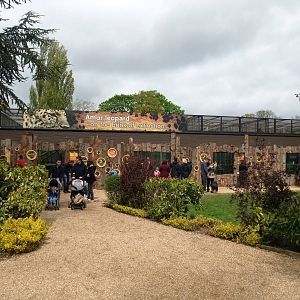 Leopard Exhibit at Twycross, 18/05/13