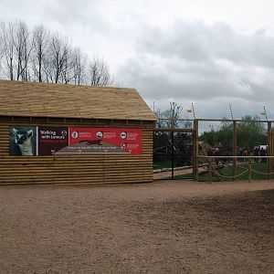 Lemur Walkthrough at Twycross, 18/05/13