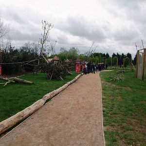 Lemur Walkthrough at Twycross, 18/05/13