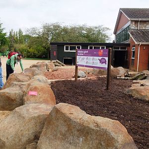Giant Tortoise Exhibit at Twycross, 18/05/13