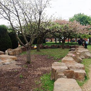 Giant Tortoise Exhibit at Twycross, 18/05/13