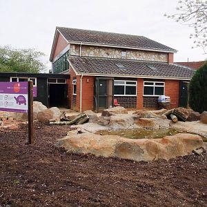 Giant Tortoise Exhibit at Twycross, 18/05/13
